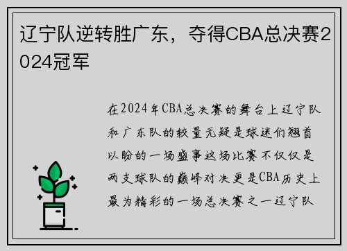 辽宁队逆转胜广东，夺得CBA总决赛2024冠军
